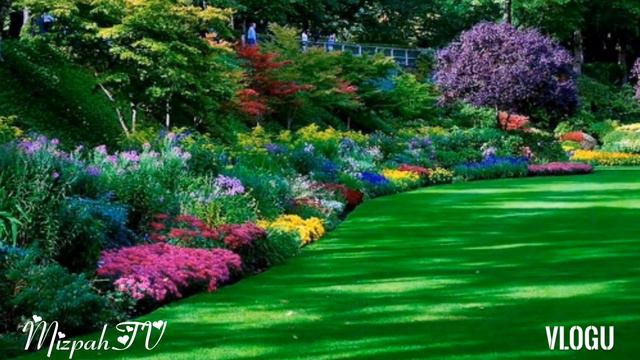YOUR LOVING KINDNESS Lyrics (Mark Conner) смотреть онлайн