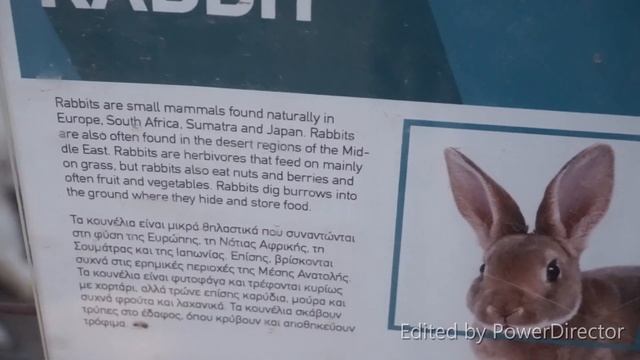 CAMEL PARK @ MAZOTOS CYPRUS 2018 смотреть онлайн