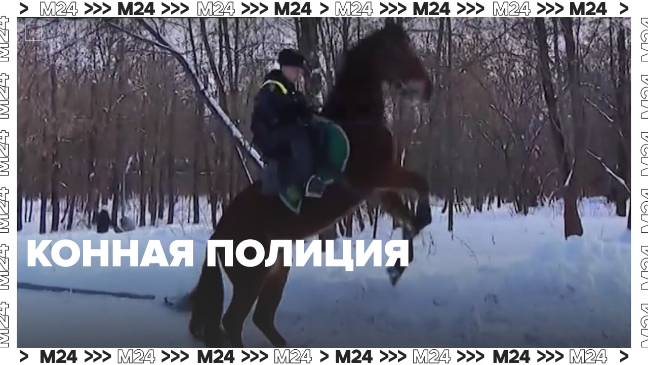 Конная полиция в Москве — Москва24 | Контент