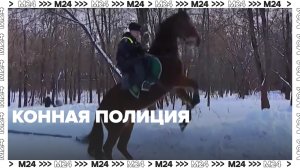 Конная полиция в Москве — Москва24 | Контент