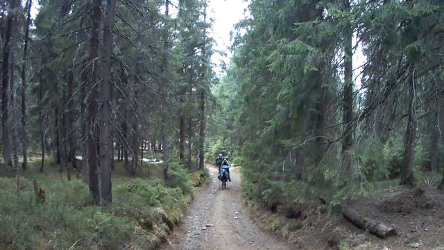 MOVI0138 - Мармарошский и Черногорский хребты смотреть онлайн