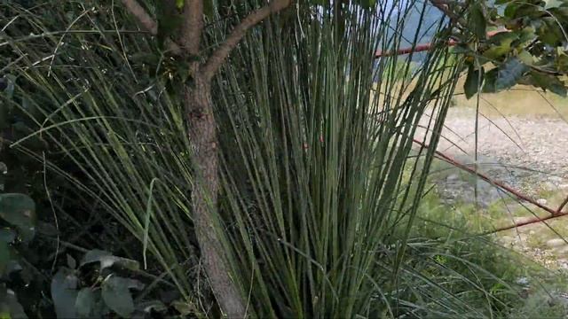 ☀️☀️Черное море. Агой. Туапсе. Природа. Супер смотреть онлайн