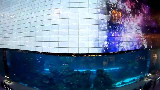 Дубай - город будущего.