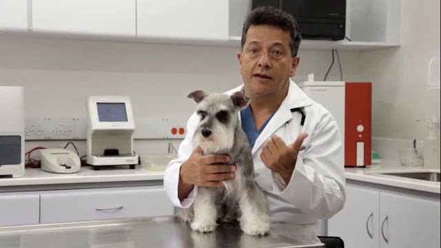 #LosEspecialistas: Gastroenterología - Caso Clínico Dr. Oscar Benavides смотреть онлайн