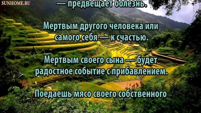 К чему снится Видеть мертвым сонник, толкование сна