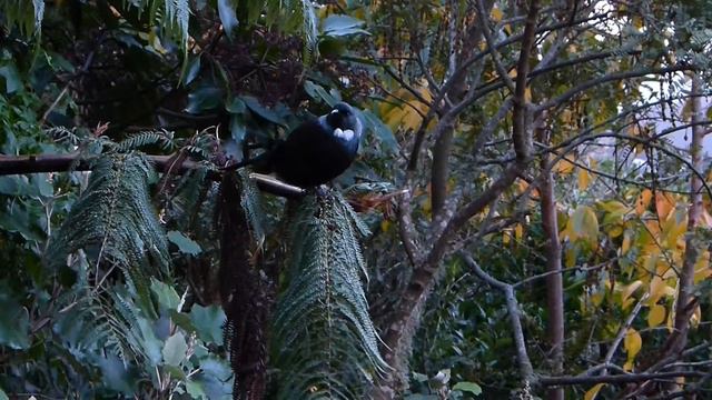 TUI TODAY 8.M. смотреть онлайн