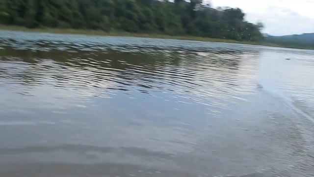 Feilun FT010 2 4G Brushed RC Racing Boat 65CM   AZUHANIFA MOHAMMAD