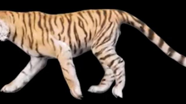 Tiger (Conan Exiles) смотреть онлайн