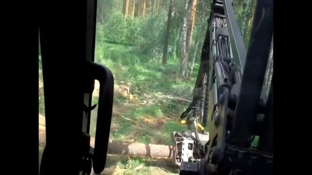 SOTODANET комплекс Ротный ,Валка леса смотреть онлайн