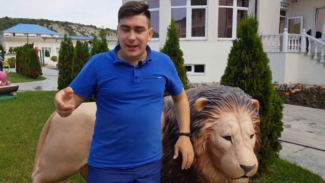 Сукко/Демократия/Аниматоры/Александр Кокоулин