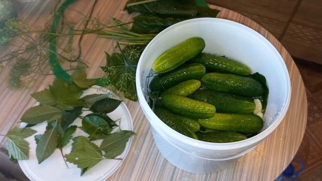Хрустящие огурцы в ведре смотреть онлайн