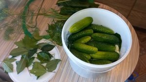 Хрустящие огурцы в ведре