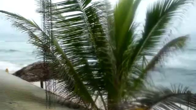 Srilanka Hikkaduwa Beach Hotel