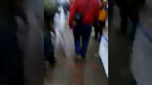 Анархисты против Божены Рынски смотреть онлайн