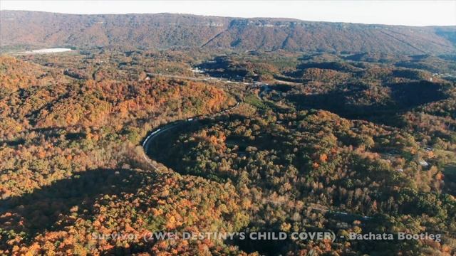 Survivor - Epic Bachata Remix (orig. By 2wei & Destiny's Child)