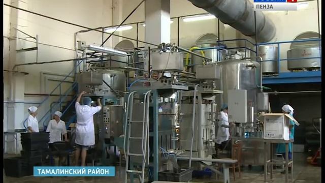 Тамалинцы готовы поделиться уникальным опытом тотального обучения детей плаванию смотреть онлайн