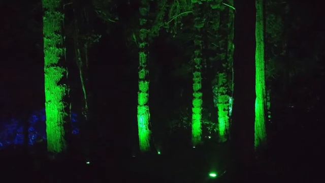 Straturday - Slow Dancing In Mount Stewart смотреть онлайн