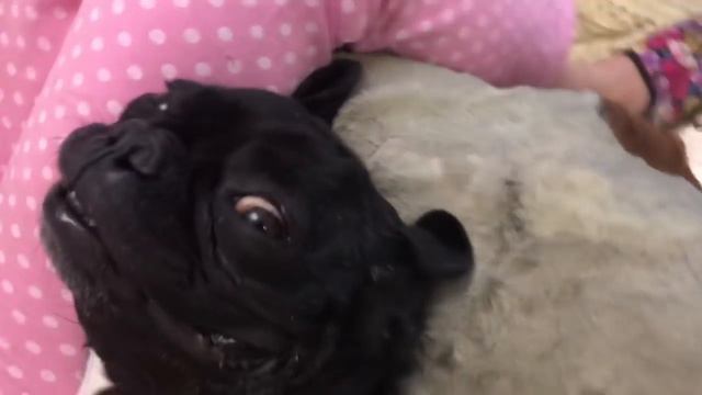 Команда Счастье