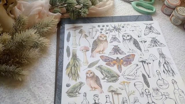 Обзор Eco Paper 