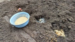 Самая мощная мука под посадку картофеля! На ней клубни растут крупными как на навозе и без болезней.