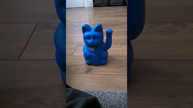 Battery operated blue lucky cat смотреть онлайн