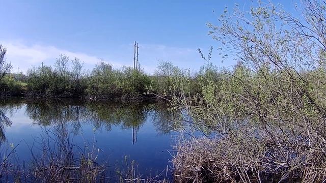 Рыбалка в Самаре. Май. Озеро Давыдово. Линь и карась. смотреть онлайн