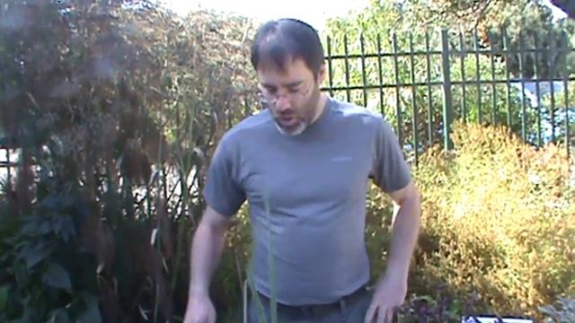 Propagating Sustainable Perennials and African Blue Basil with Noel смотреть онлайн