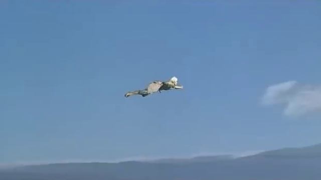 Шахерезада (Катрин Зета Джонс)