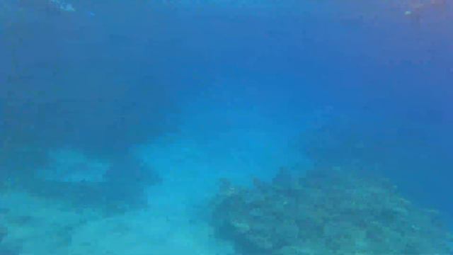 Красное море. смотреть онлайн