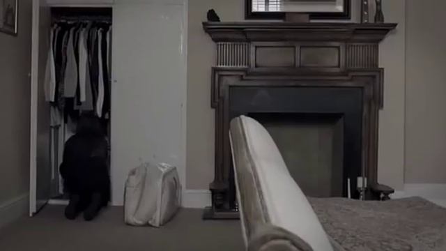 Мой Ангел Хранитель My Guardian Angel 2016 BDRip vk com Feokino mp4 360 1 смотреть онлайн