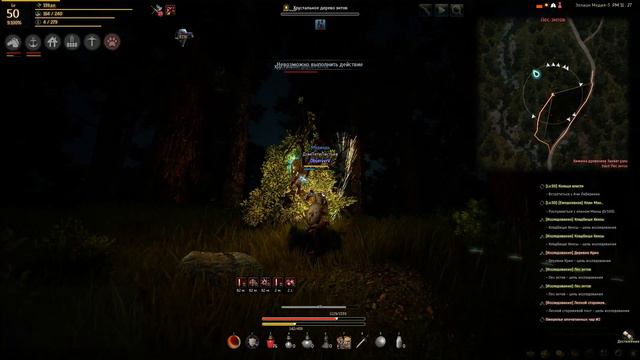 Black Desert | квесты с озвучкой. Мир полон врагов #5. Лес энтов. [296] смотреть онлайн