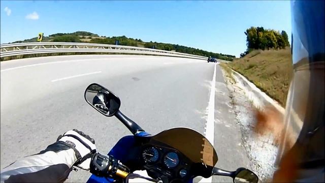 Transylvania serpentine, one among many:) смотреть онлайн