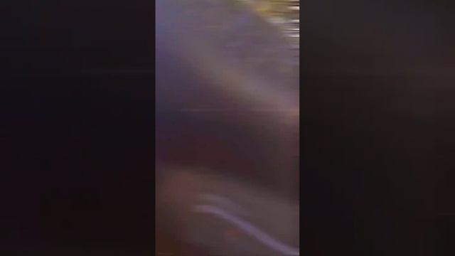 Toyota Hyryder top speed #foryou #hybrid #hyryder #toyota смотреть онлайн