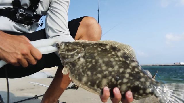 SURVIVAL FISHING one week eating ONLY the fish I catch смотреть онлайн