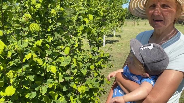 Vlog Целый день с реборном Лиамом в деревне смотреть онлайн