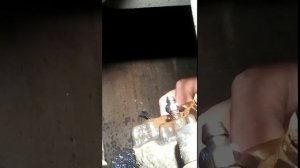 откручивание штуцера прокачки тормозов форд фокус первый