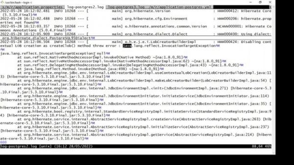 java.lang.reflect.InvocationTargetException
