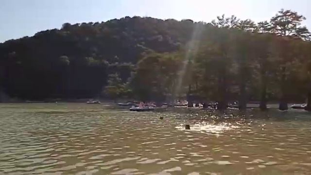 Кипарисовое озеро Сукко: вода уходит смотреть онлайн