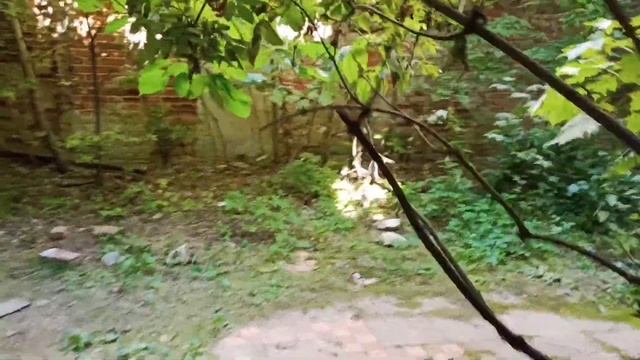 Заброшенная усадьба Голицыных.Рассказывает Сергей Уткин. смотреть онлайн