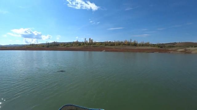 Ловля щуки в октябре, трофейная рыбалка в Крыму, 07.10.2020 смотреть онлайн