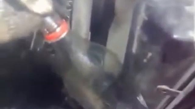 Какое топливо продают на заправках....