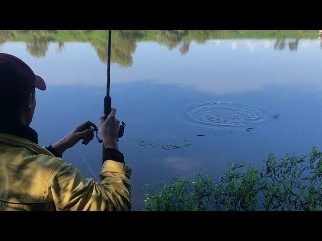 Река ОКА ночная рыбалка на сильном течение / грязная вода и много мусора смотреть онлайн