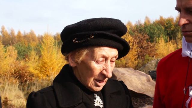 film50 смотреть онлайн