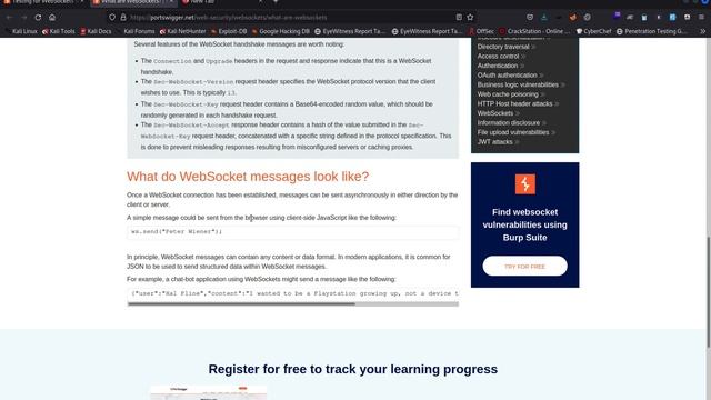 Introduction to Websocket | Websocket pentesting part - 1 смотреть онлайн