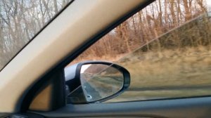 охота на утку с псп пневматикой 6.35 и как искать новые места