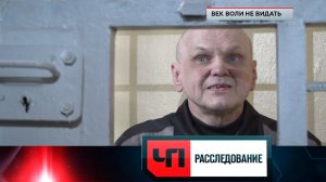 «Век воли не видать» | «Белый лебедь». Внутри самой строгой зоны в России | «ЧП. Расследование»