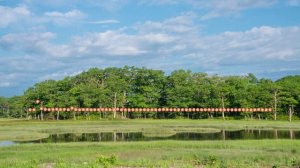 ХАБИБА - ЧИСТАЯ ЛЮБОВЬ 2024