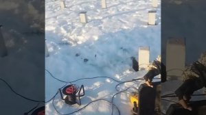установка оголовка на сваи