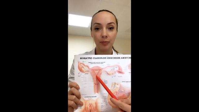 Акушер-гинеколог Ольга Булгакова ~ “Общие вопросы бесплодия” смотреть онлайн