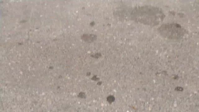 Осенний Волковыск смотреть онлайн